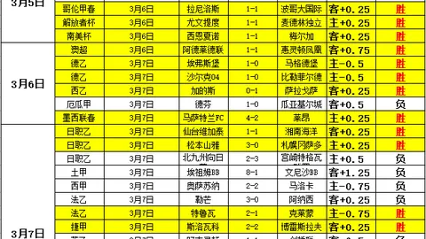 英足总公布：罗德里因热刺赛后不当言论受罚8万镑